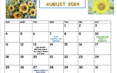 August 2024